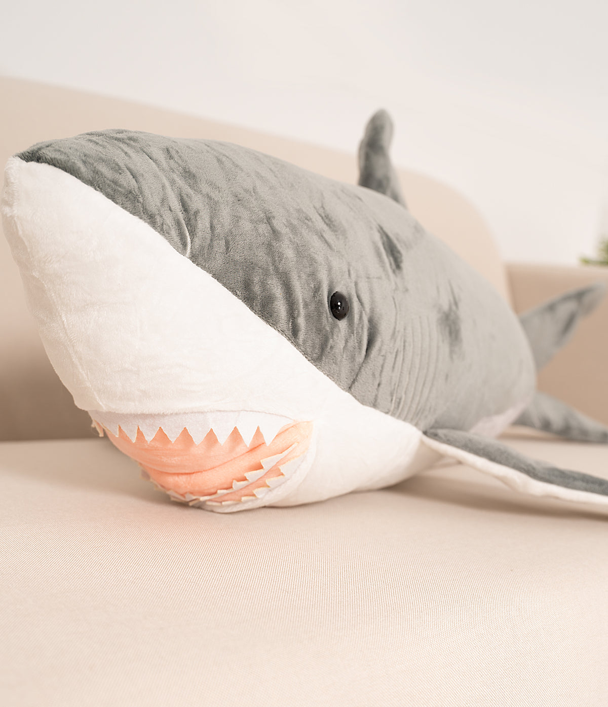 Shark Adi