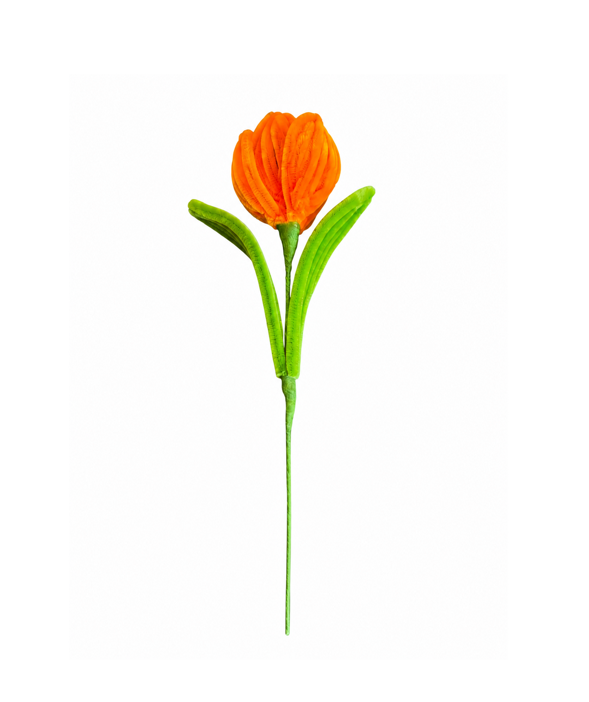 Plush Tulip