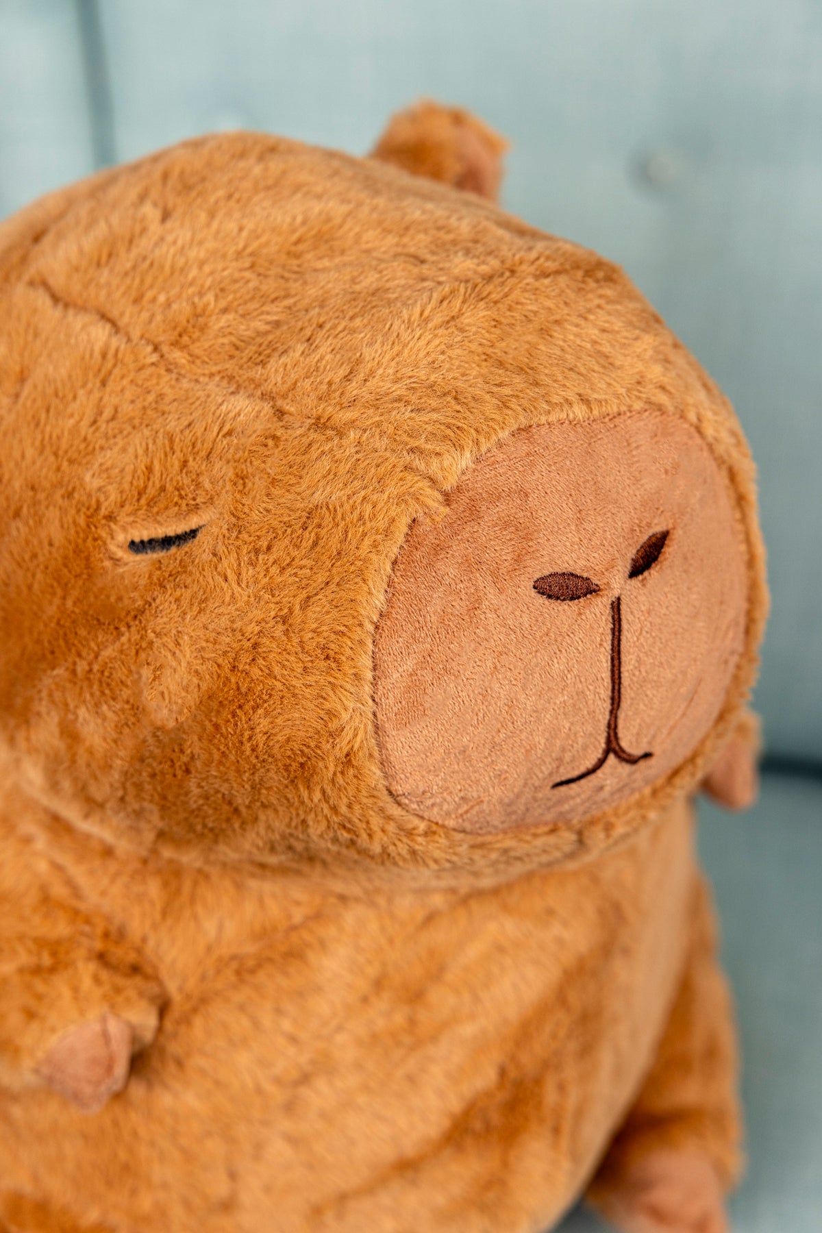 Capybara Peter