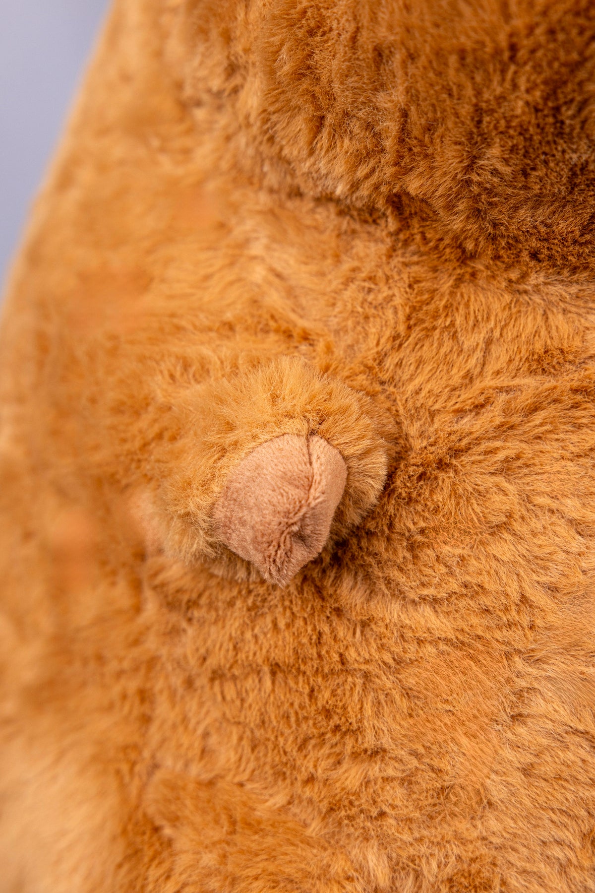 Capybara Peter