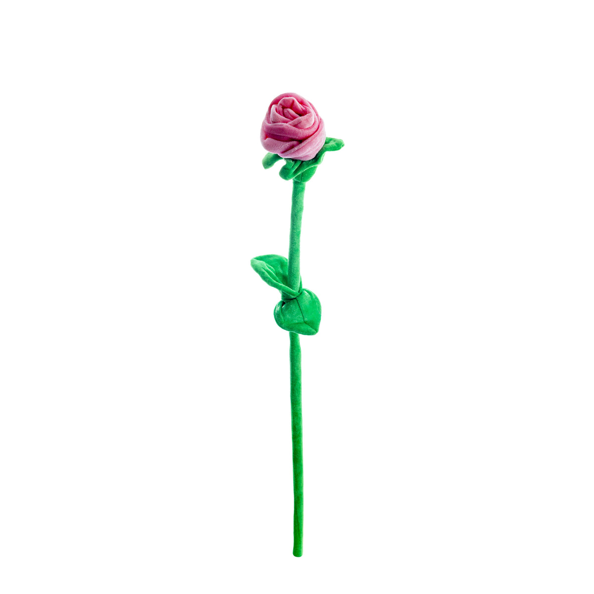 Plush Pink Rose