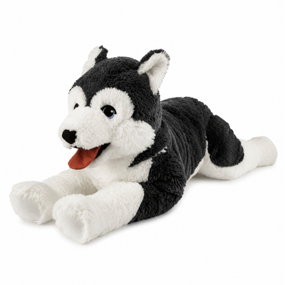 Hund Husky