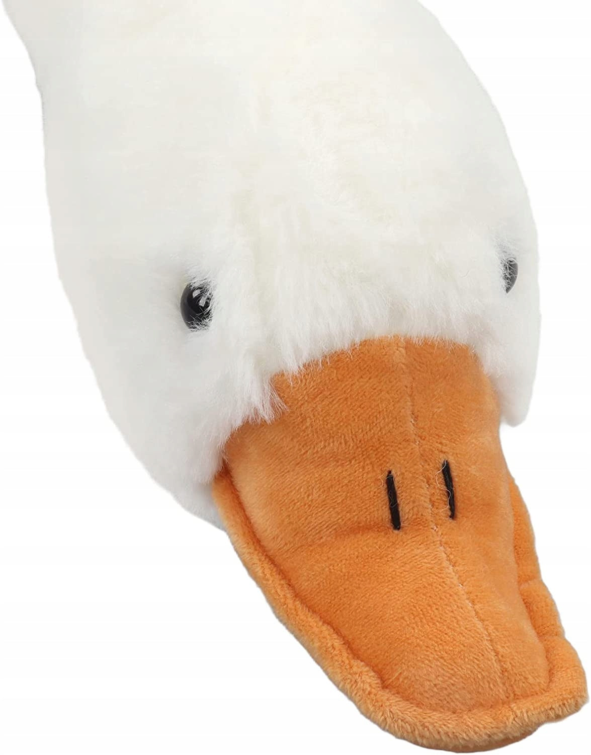 Gans
