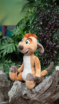 Timon