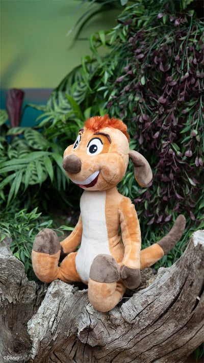 Timon