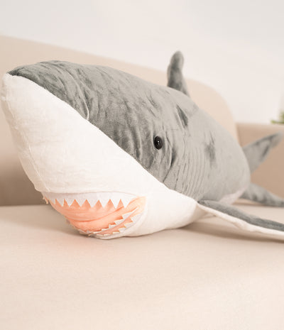 Shark Adi