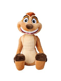 Timon