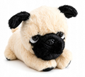 Pug Fifi
