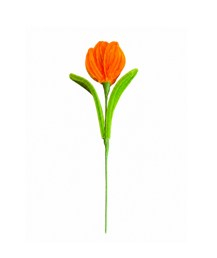 Plush Tulip
