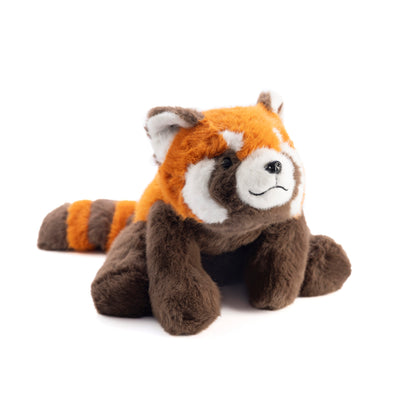 Little Red Panda