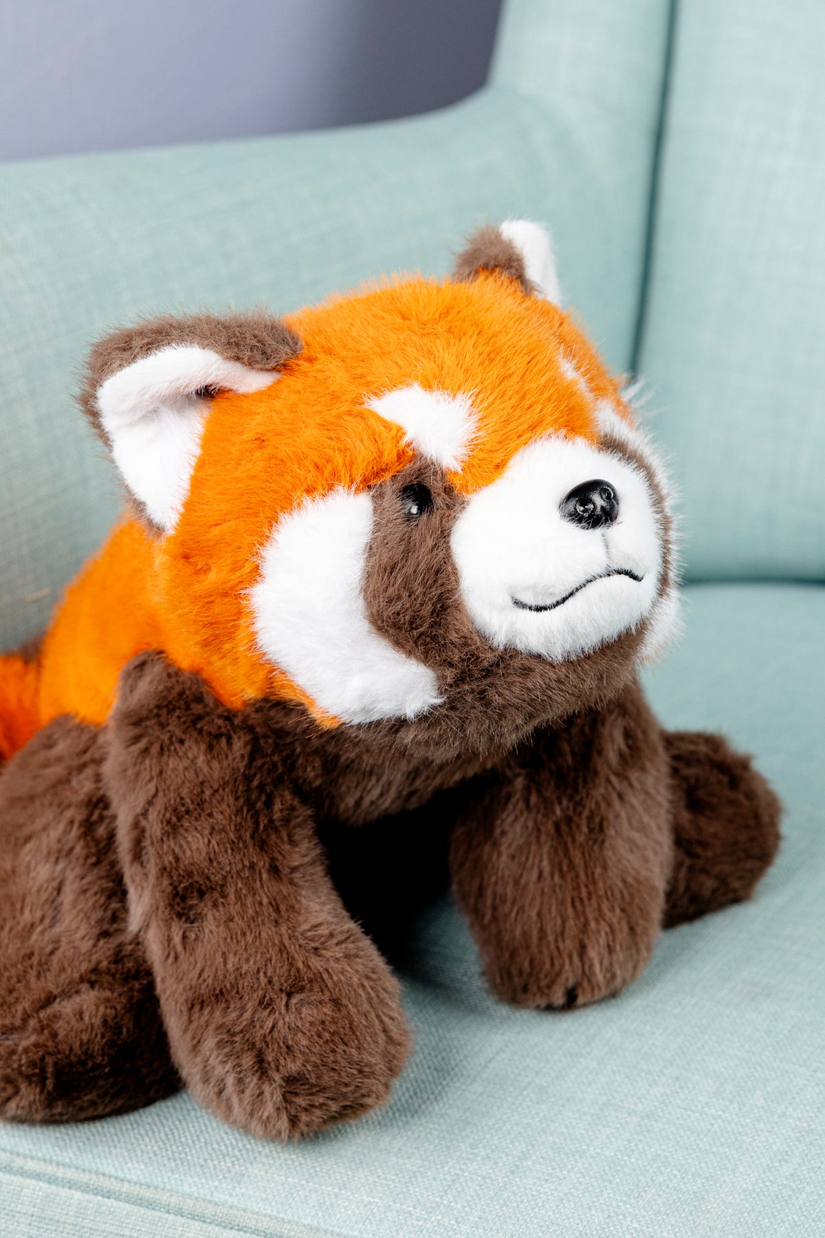 Mała panda ruda