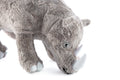 Rhinoceros