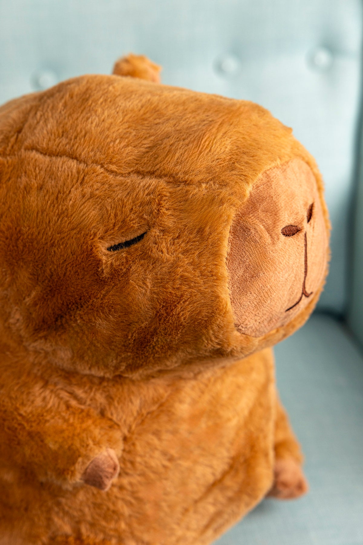Capybara Peter