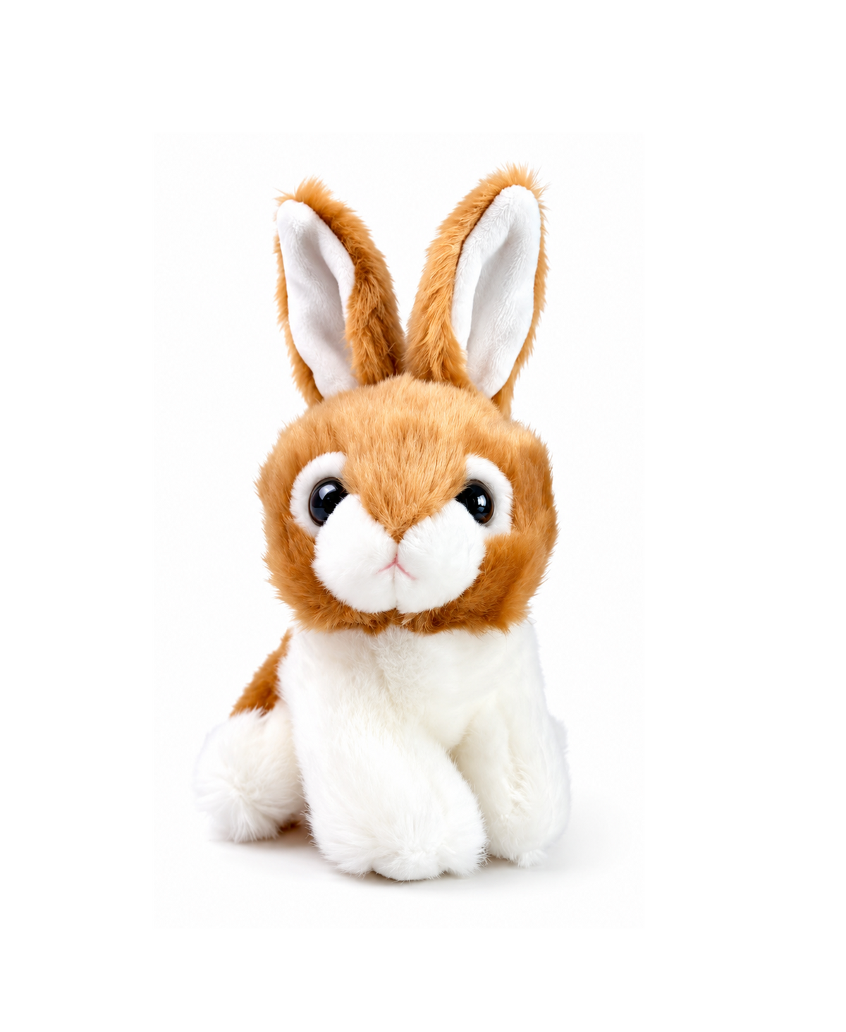 Lapin Nicko