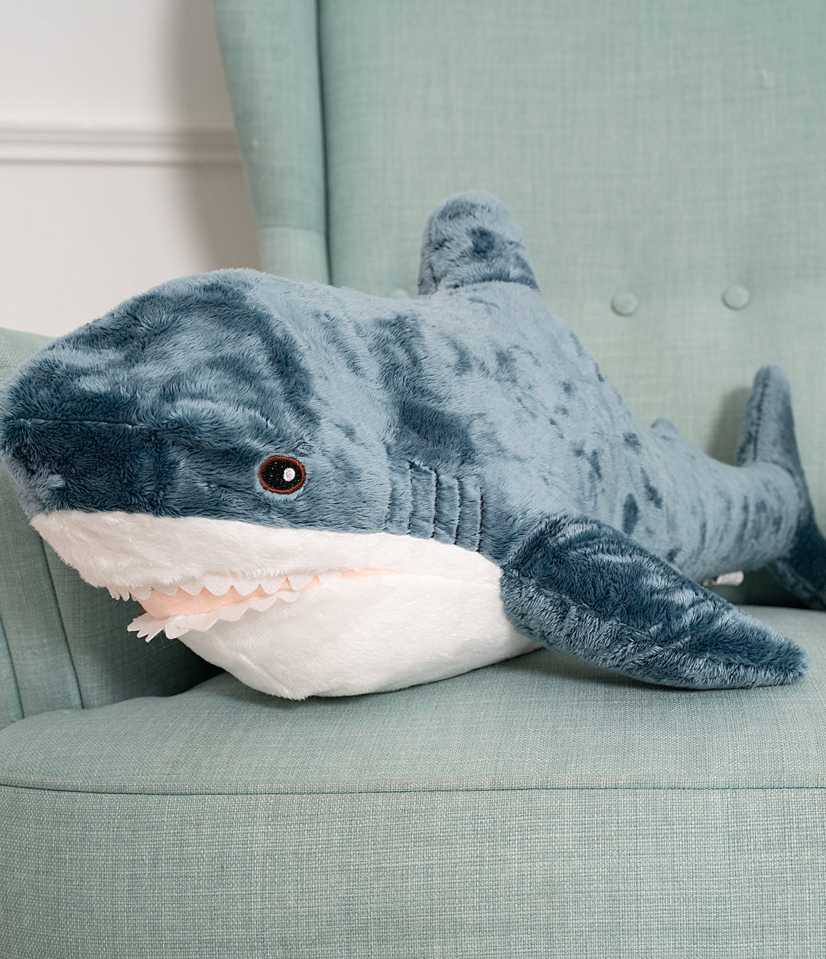 Shark