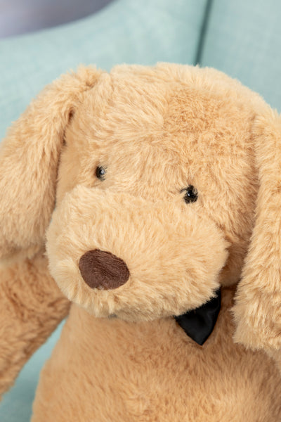 Hund Gatsby