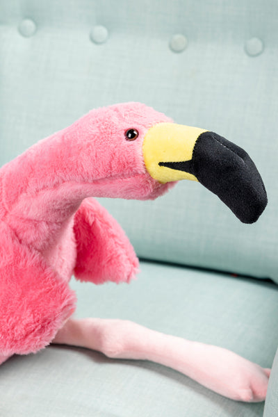 Pinki der Flamingo
