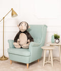 Monkey Rafa