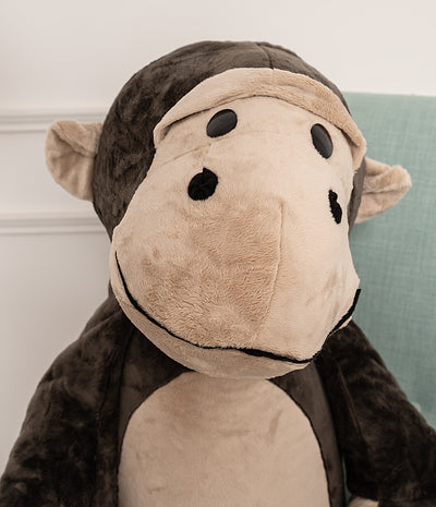 Monkey Rafa