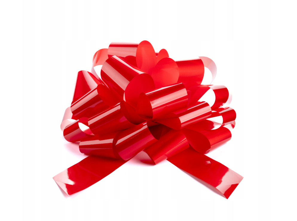 Ribbon bow for car