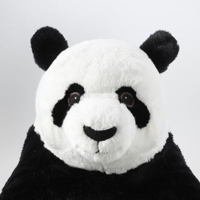 Panda Julius