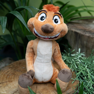 Timon
