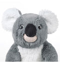 Koala with child