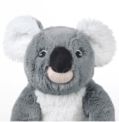 Koala with child