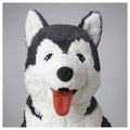 Dog Husky