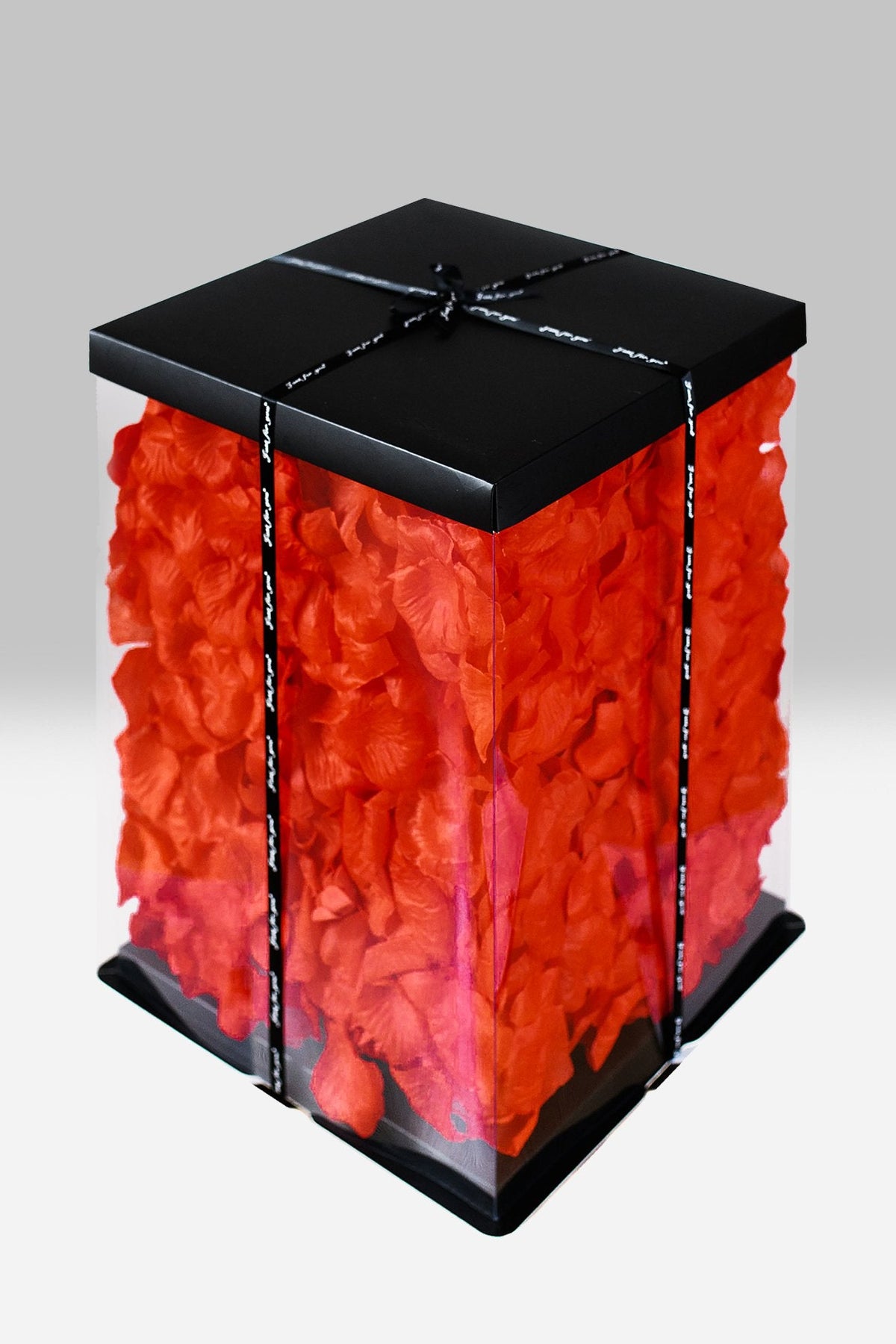 Transparent gift box with rose petals - Small